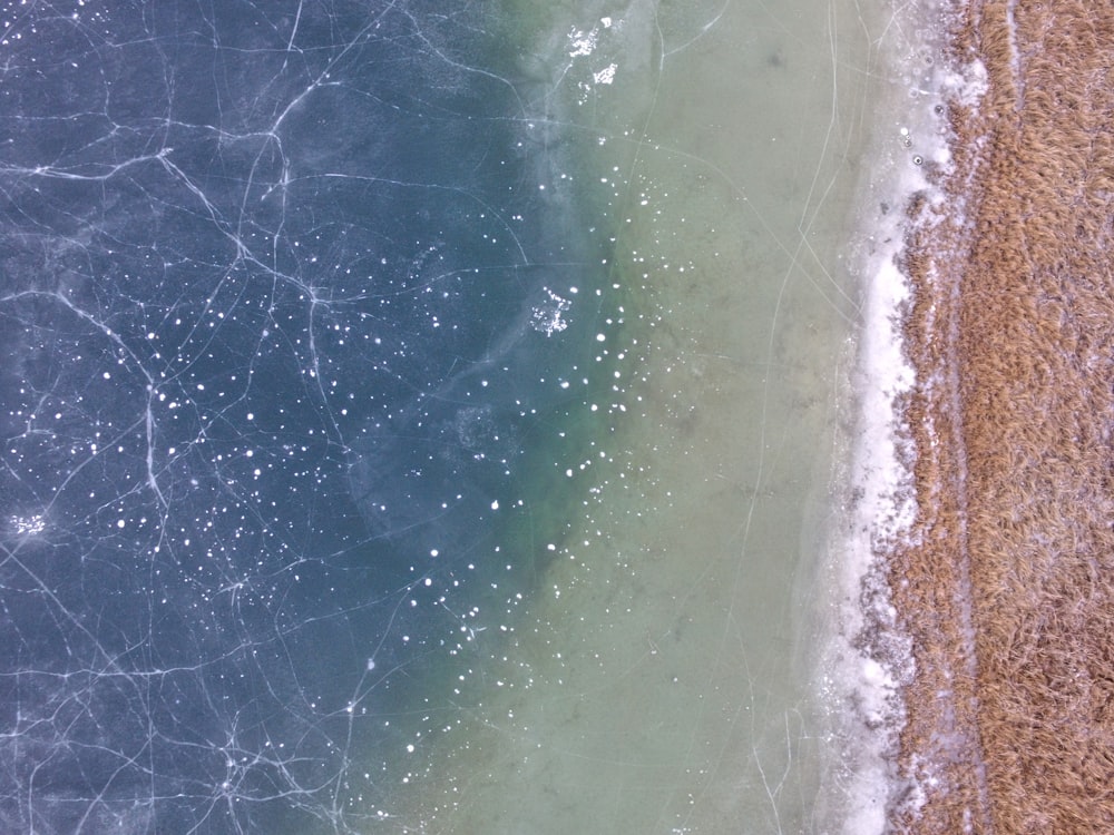 brown sand near body of water photography