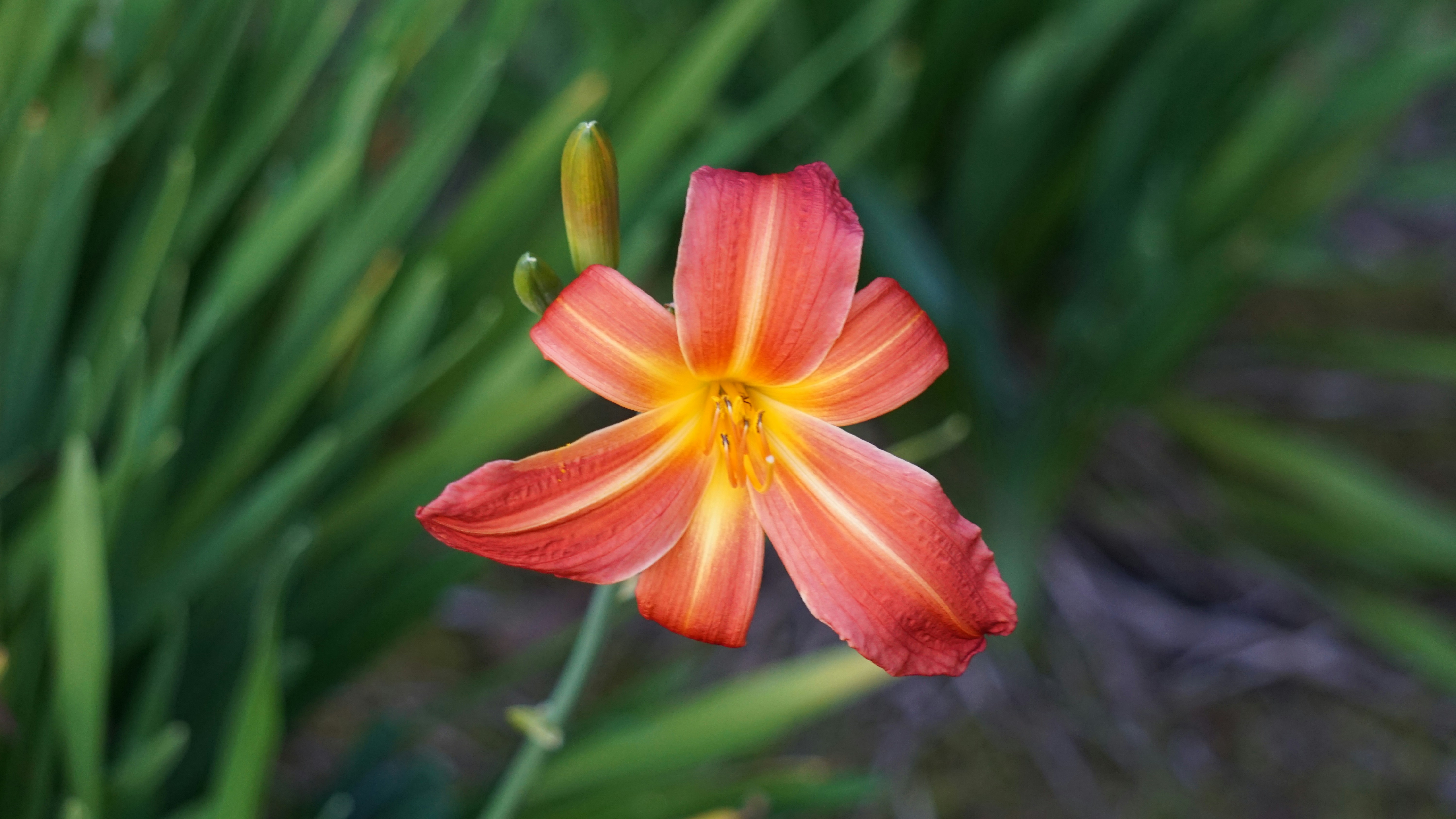 Free Unsplash photo from Joshua Torres