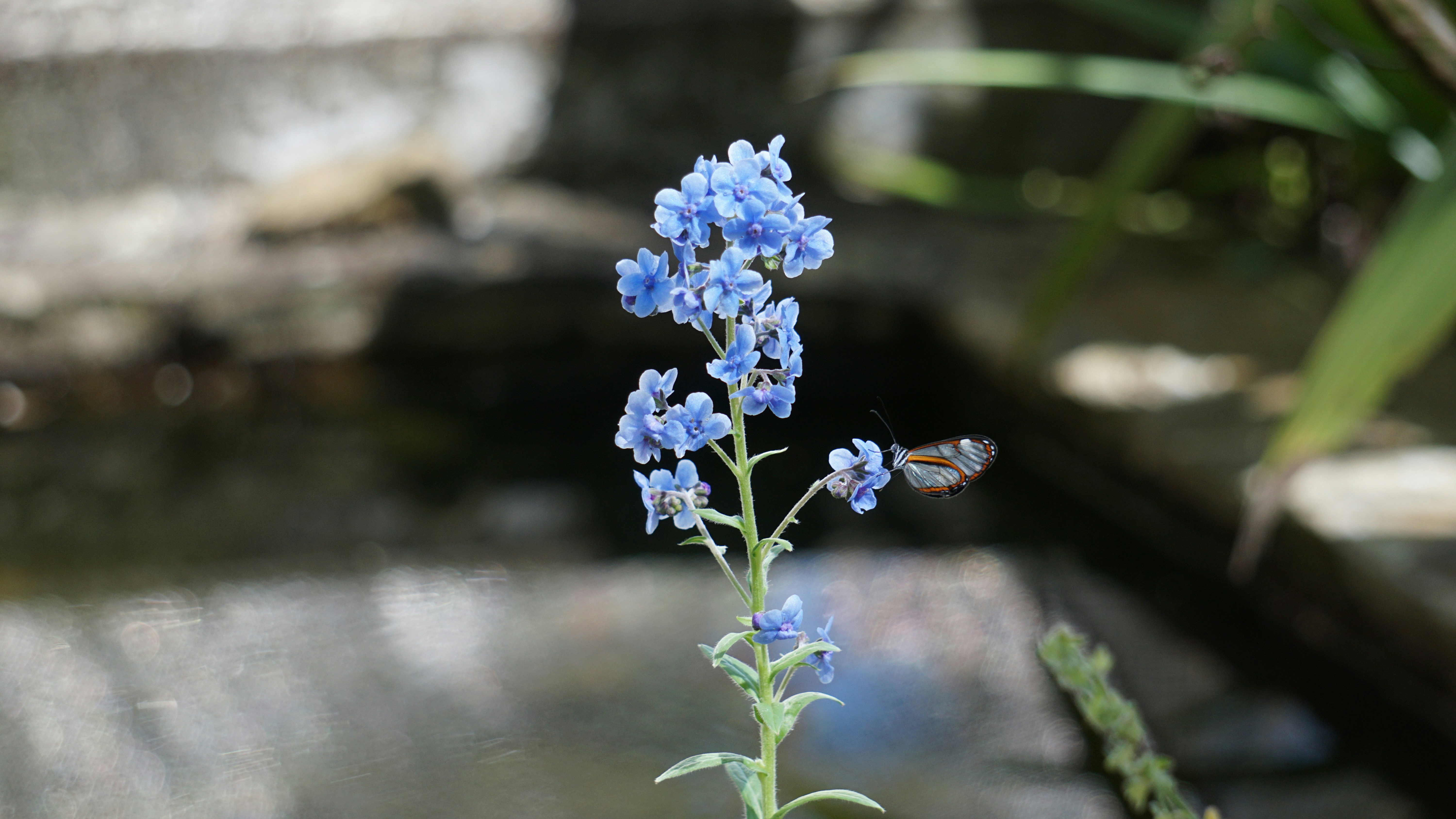Free Unsplash photo from Joshua Torres
