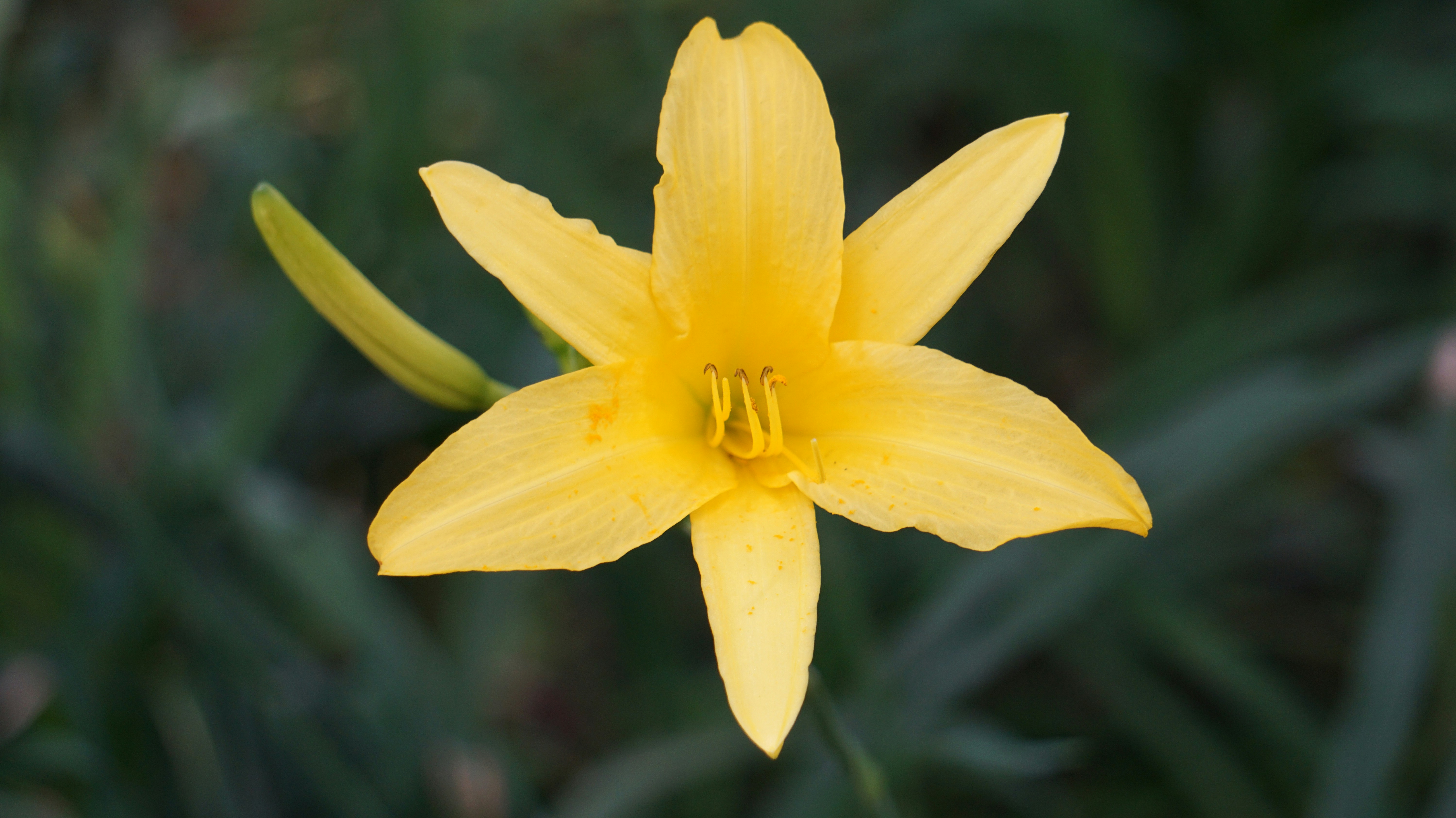 Free Unsplash photo from Joshua Torres