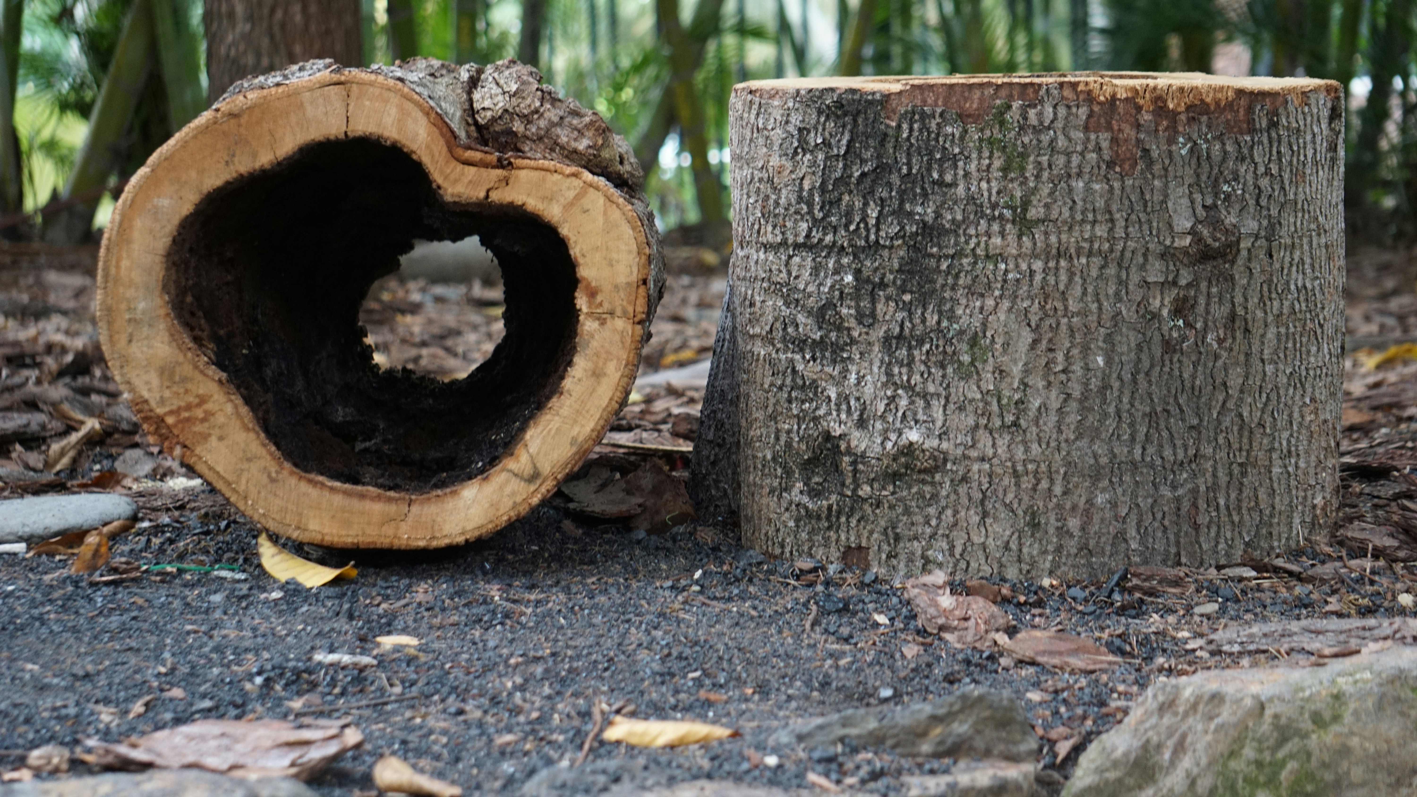 Free Unsplash photo from Joshua Torres