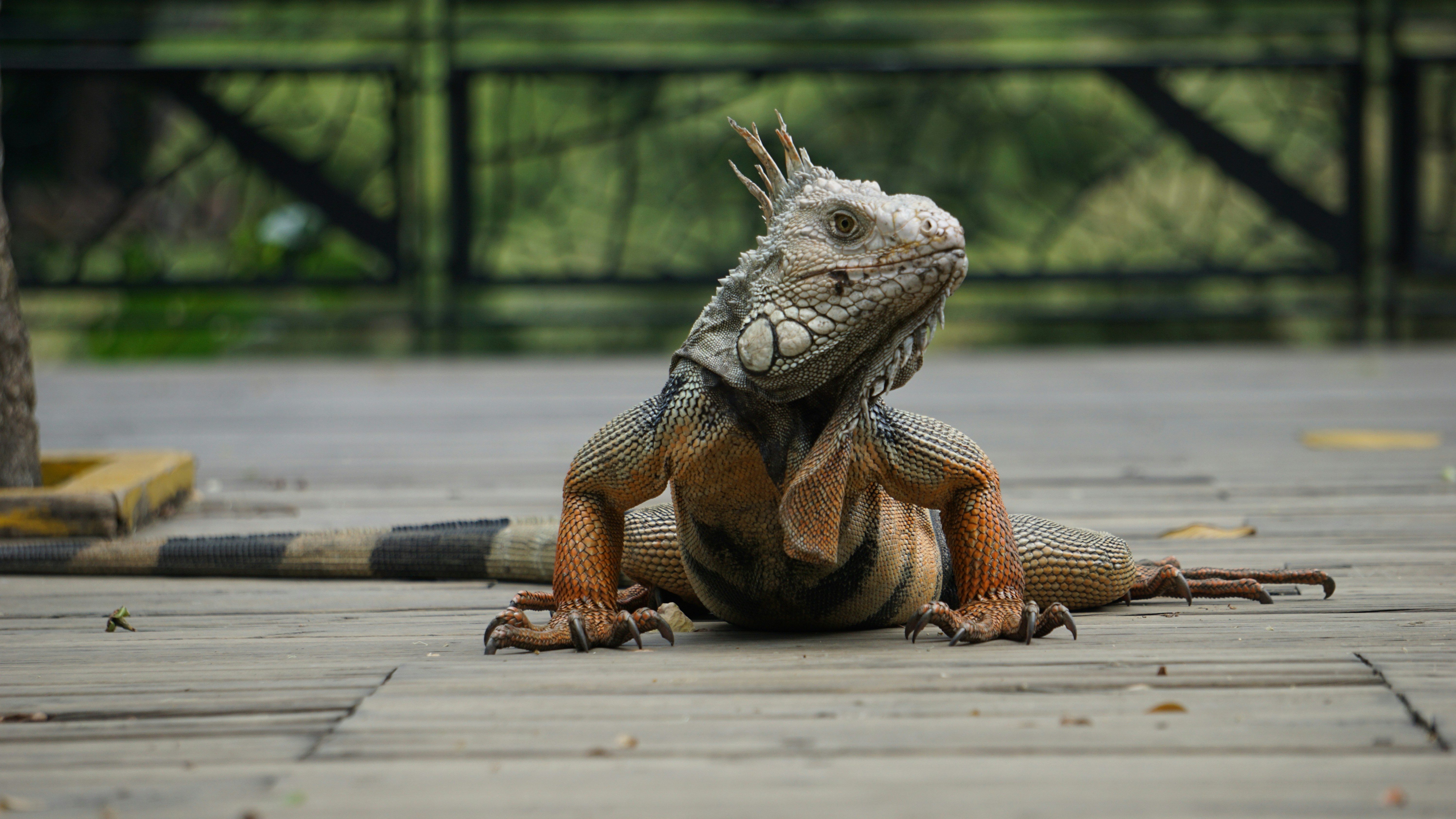 Free Unsplash photo from Joshua Torres