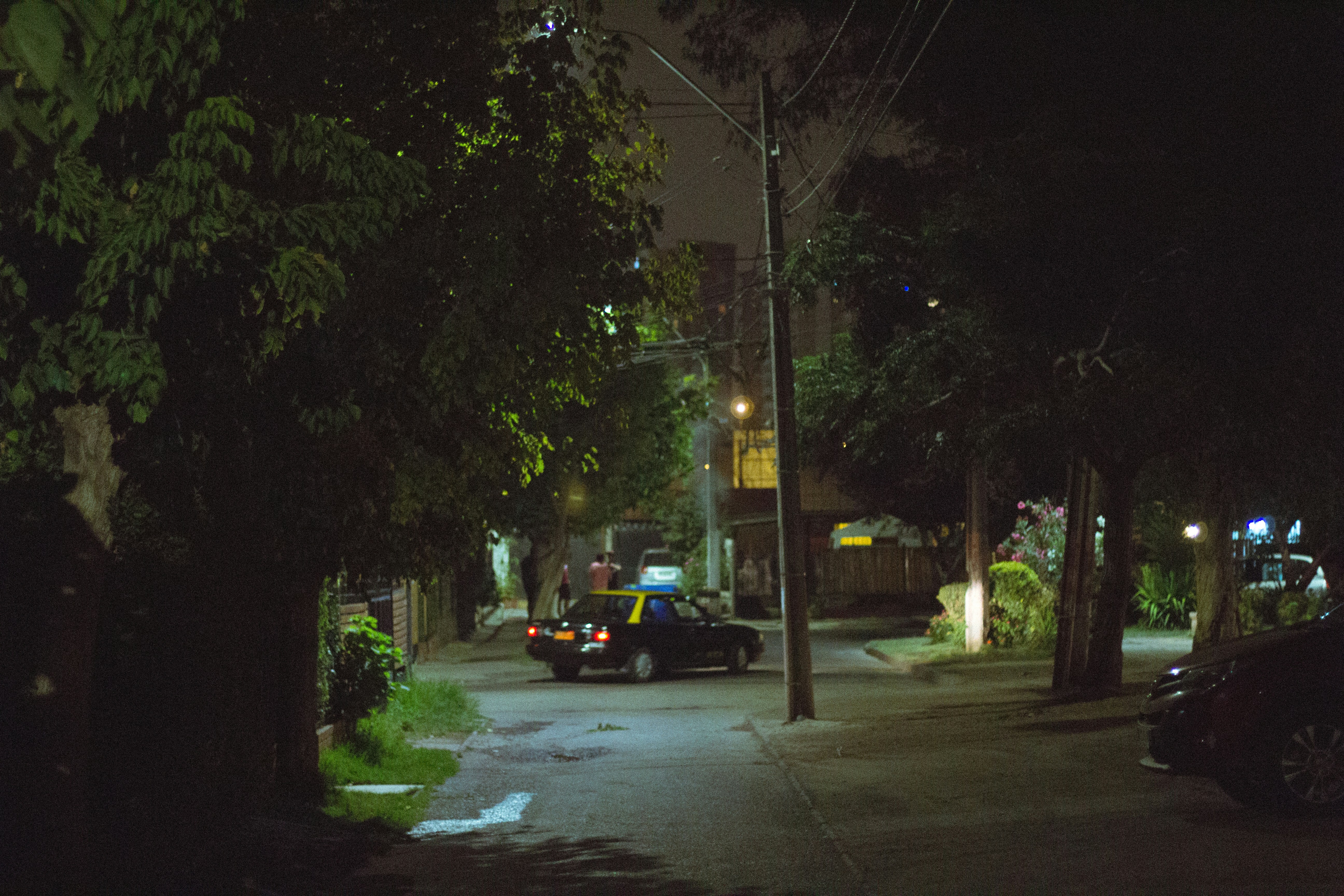 Free Unsplash photo from Leonardo Moreno