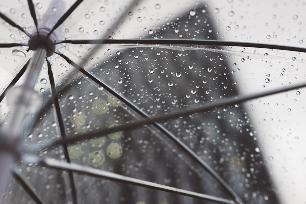 clear umbrella with water dews