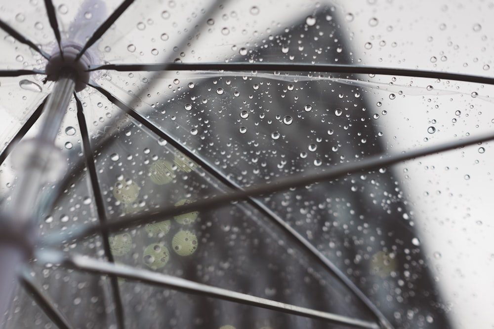 guarda-chuva transparente com orvalho de água