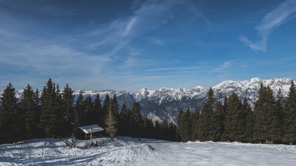 brown cabin on snow-covered field beside tree line aerial photo