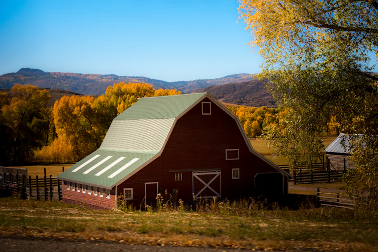 Barn surrounded by trees in the countryside