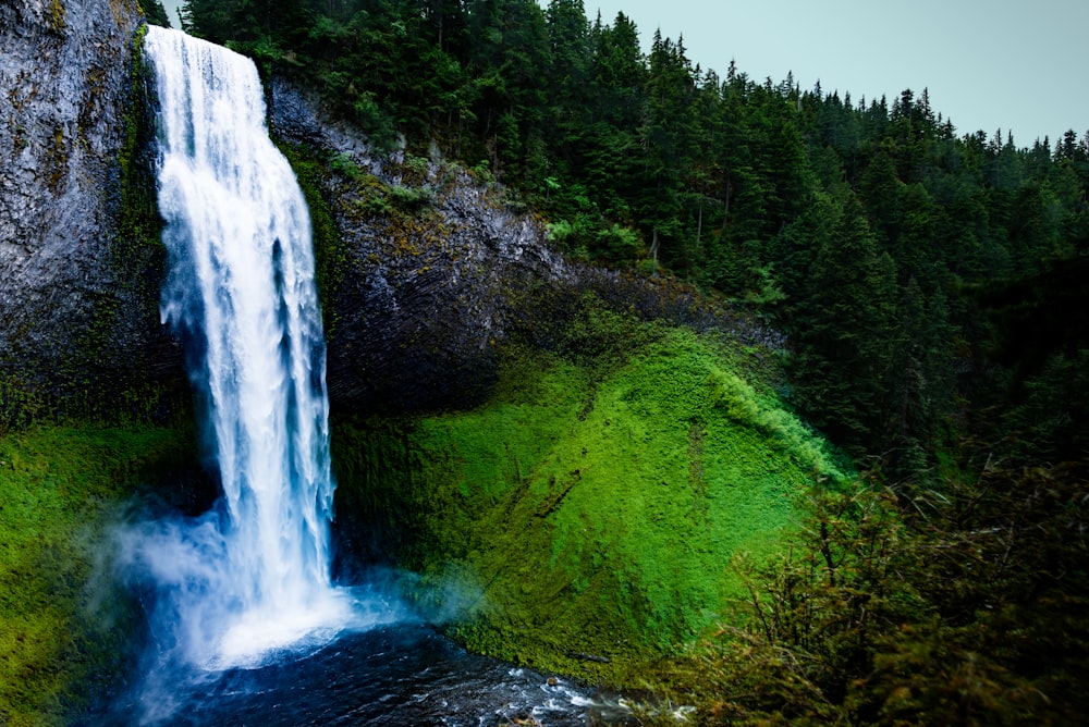 waterfalls plowing on rock formation near green trees