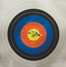 arrows in shooting target