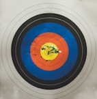 arrows in shooting target