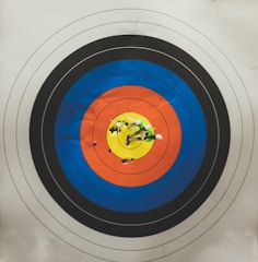 arrows in shooting target