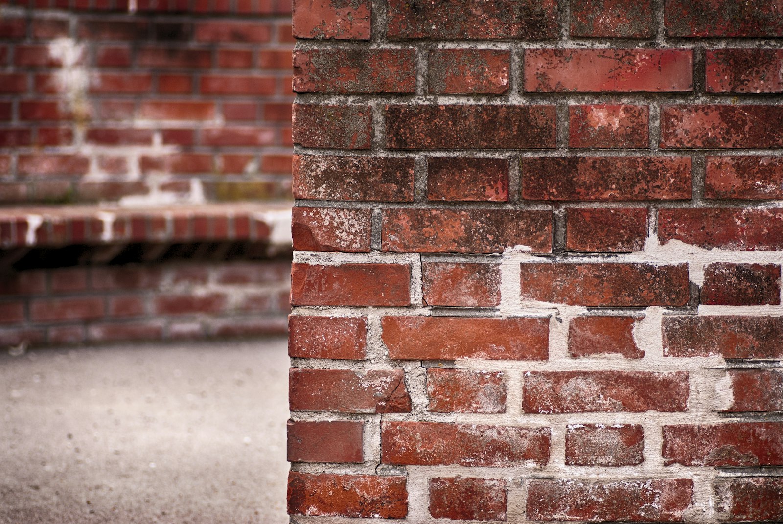 Tamron SP 90mm F2.8 Di VC USD 1:1 Macro sample photo. Brown brick wall photography