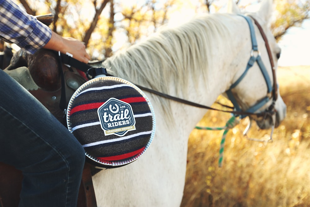 Side shot of a person in a shirt and jeans riding a palomino horse through a golden field