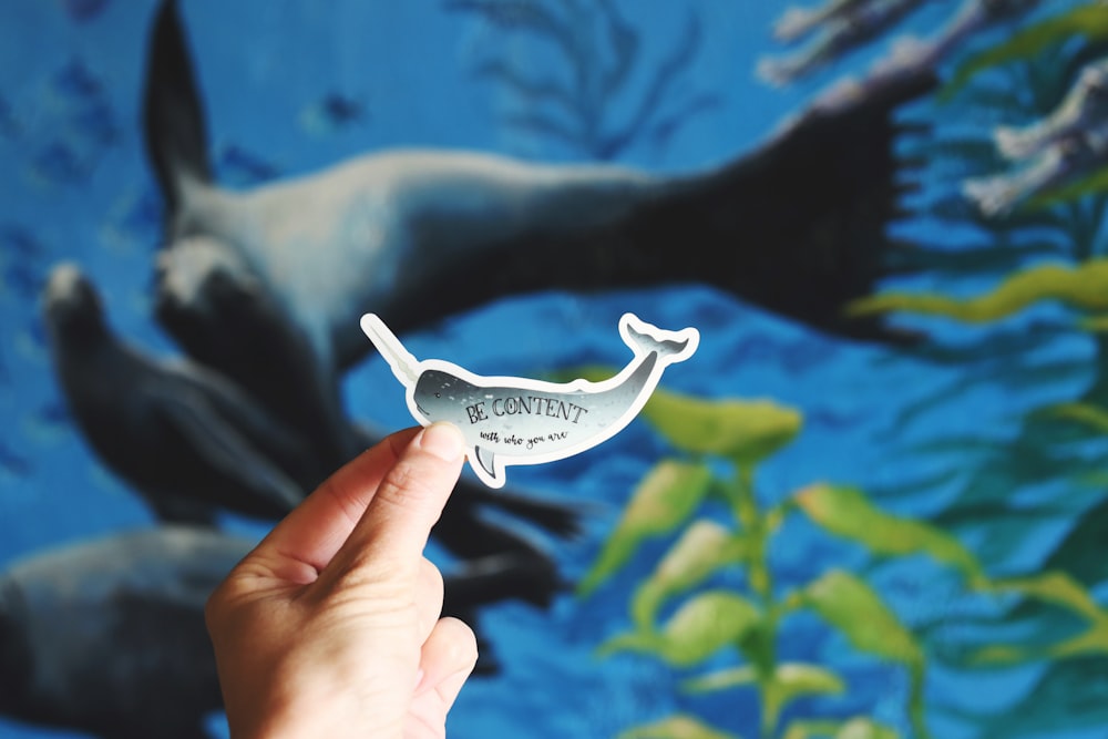 person holding whale decal