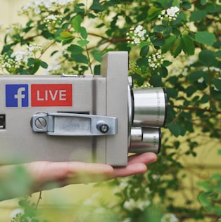 person holding gray video camera near green leaf plant during daytime