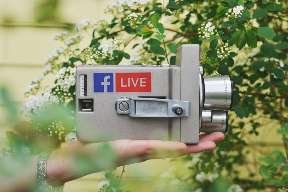persona que sostiene una cámara de video gris cerca de una planta de hojas verdes durante el día