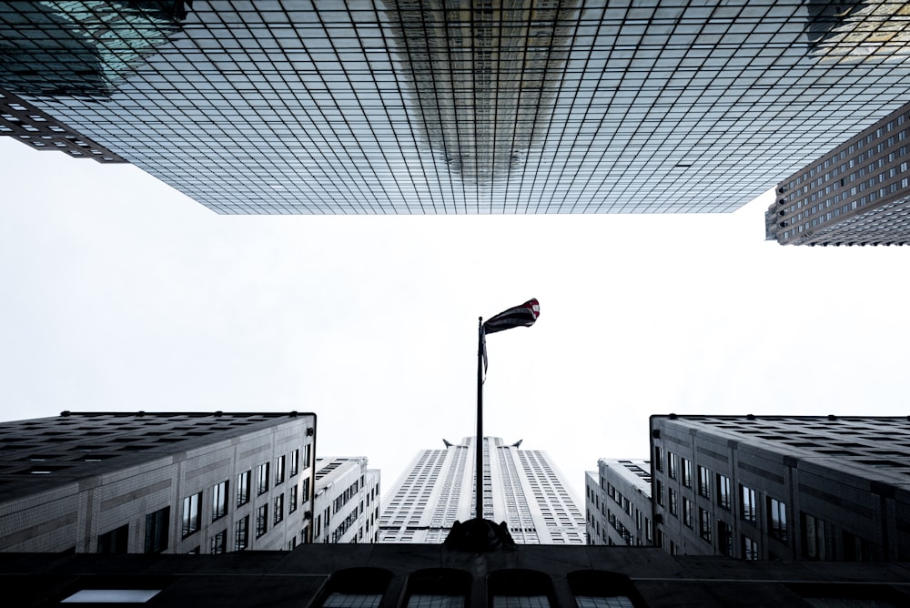 white concrete building under clear sky during daytime