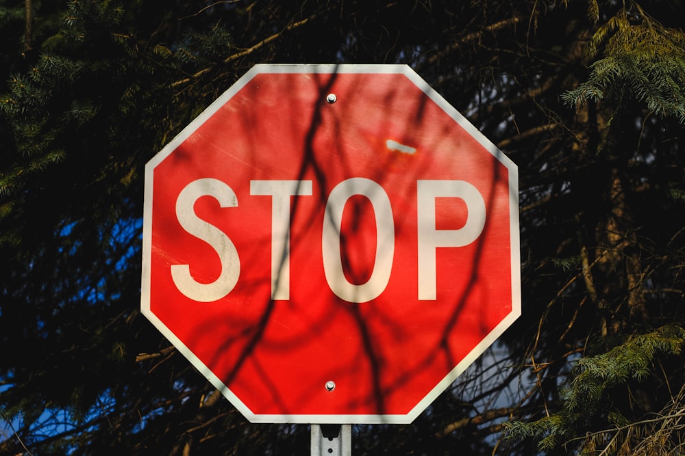 red and white stop road sign