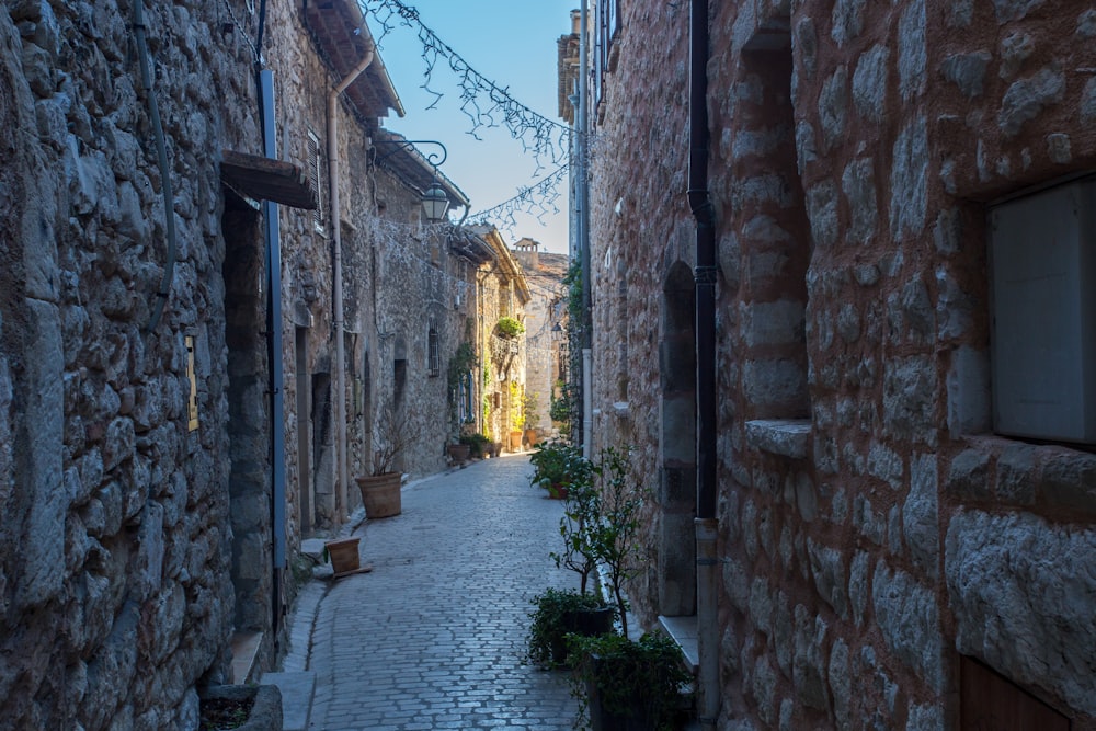 Camino vacío entre las casas