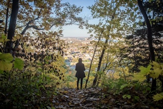 girl standing between green tree