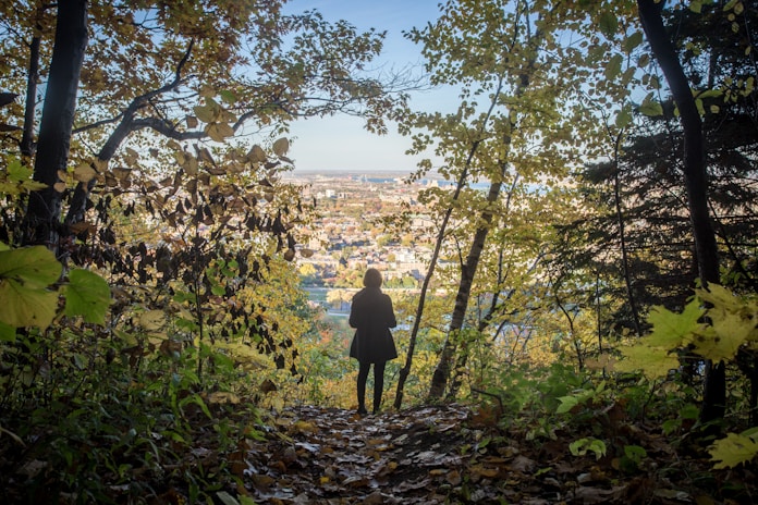 girl standing between green tree