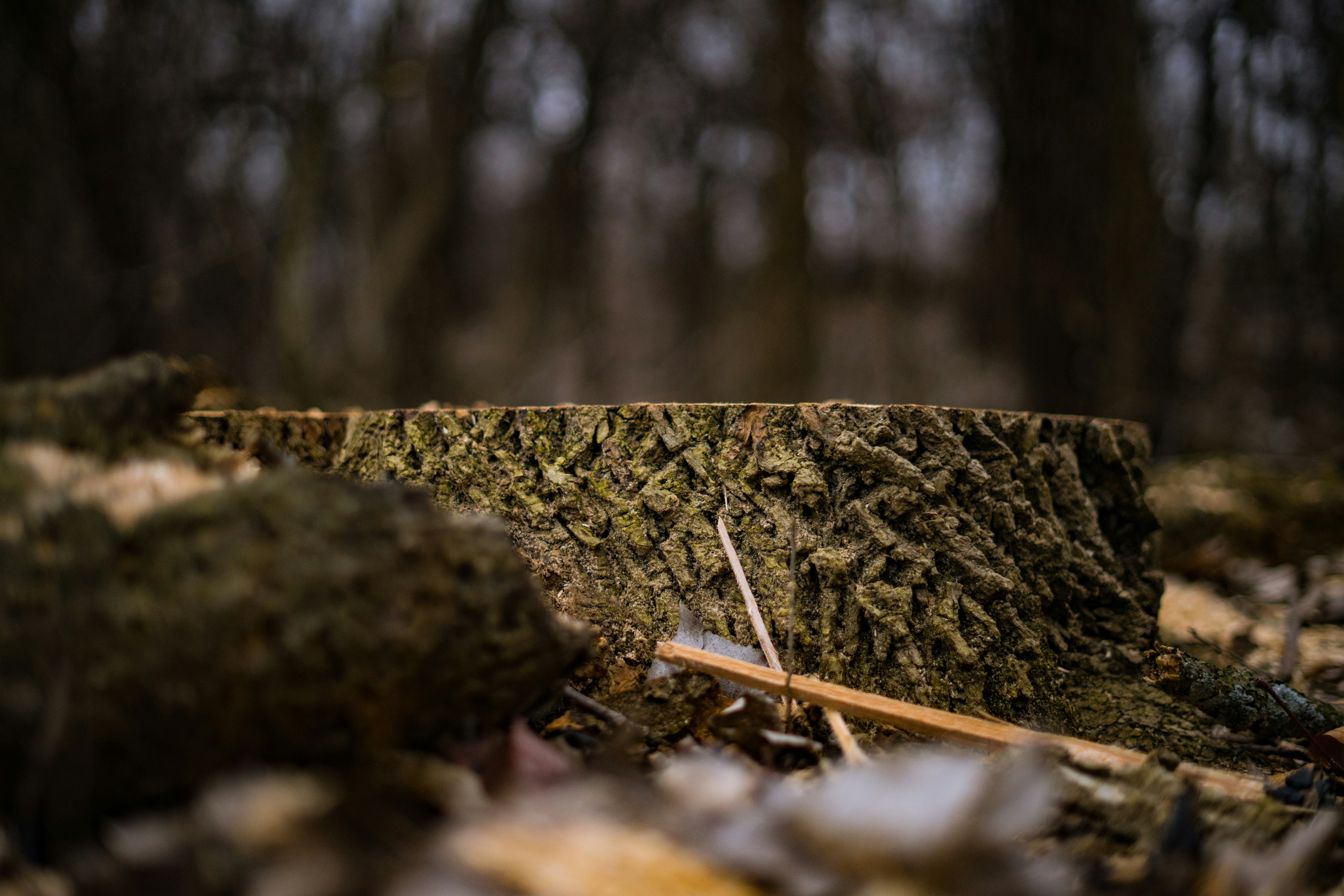 Free Unsplash photo from Jeffrey Wegrzyn