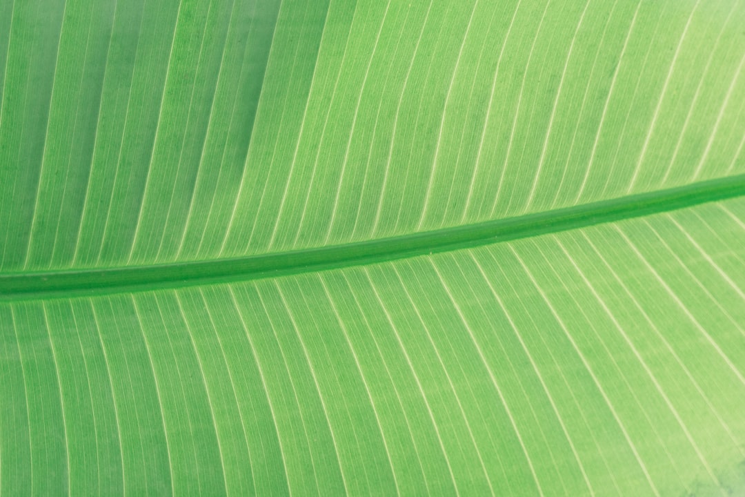 Botanical pattern 2
