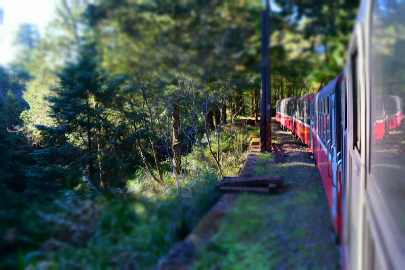 阿里山森林鉄道