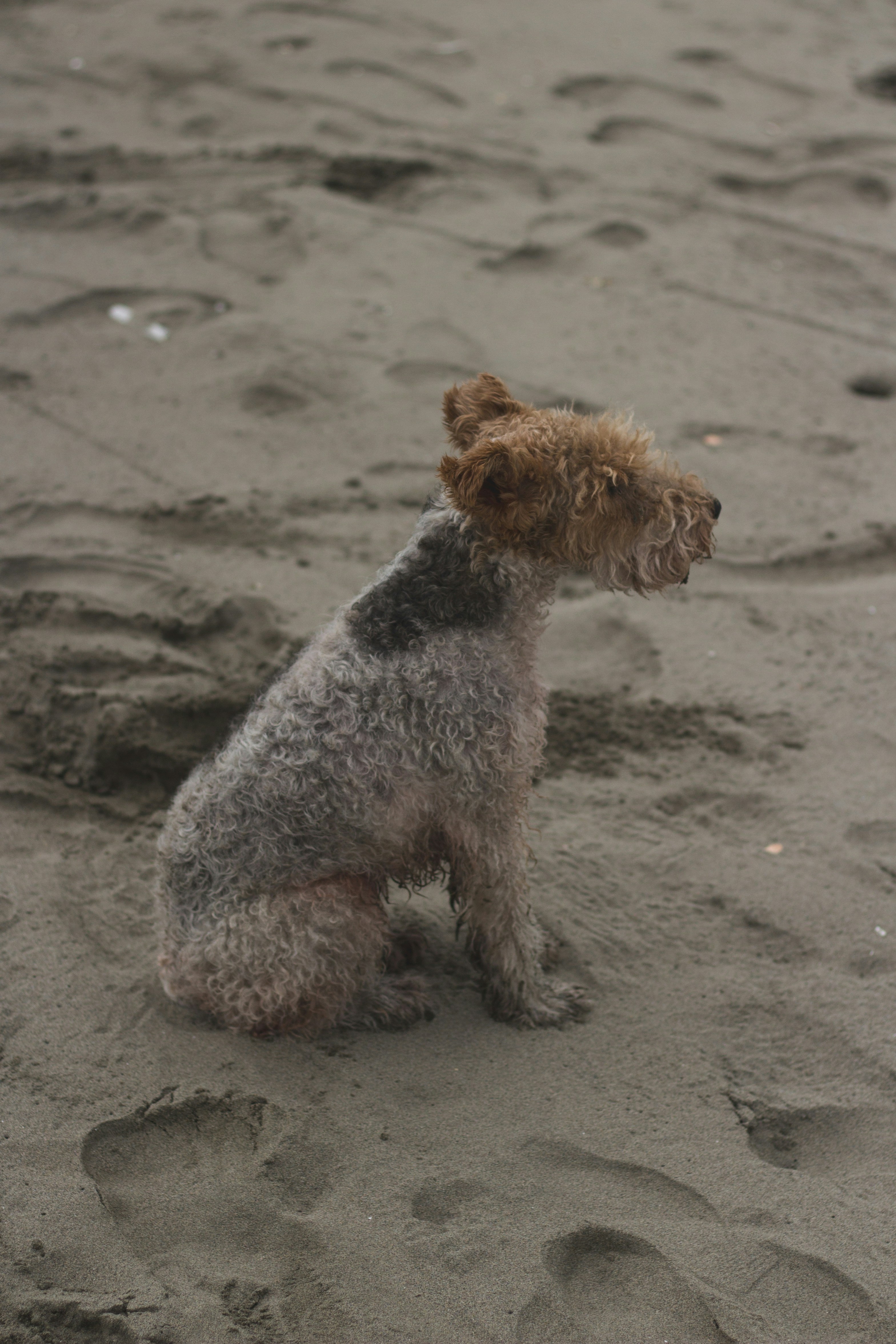 Free Unsplash photo from Gabriela  Rodríguez