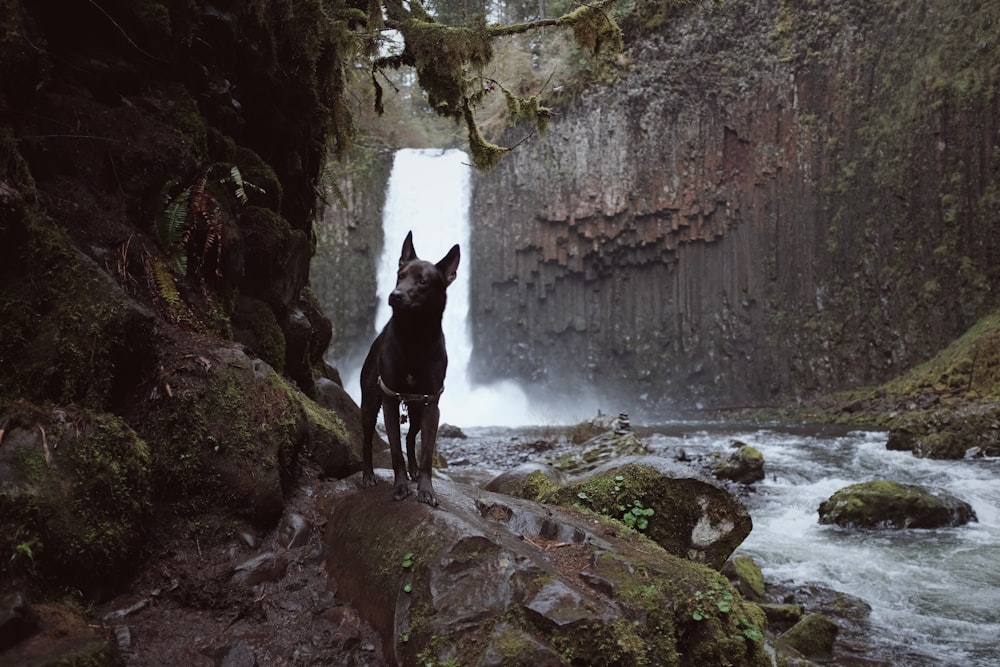 Chutes d’eau derrière Black Dog pendant la journée