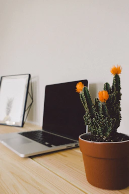 A rustic wooden desk with a laptop, a cup of coffee, and a small potted plant, symbolizing warm and personal customer service.