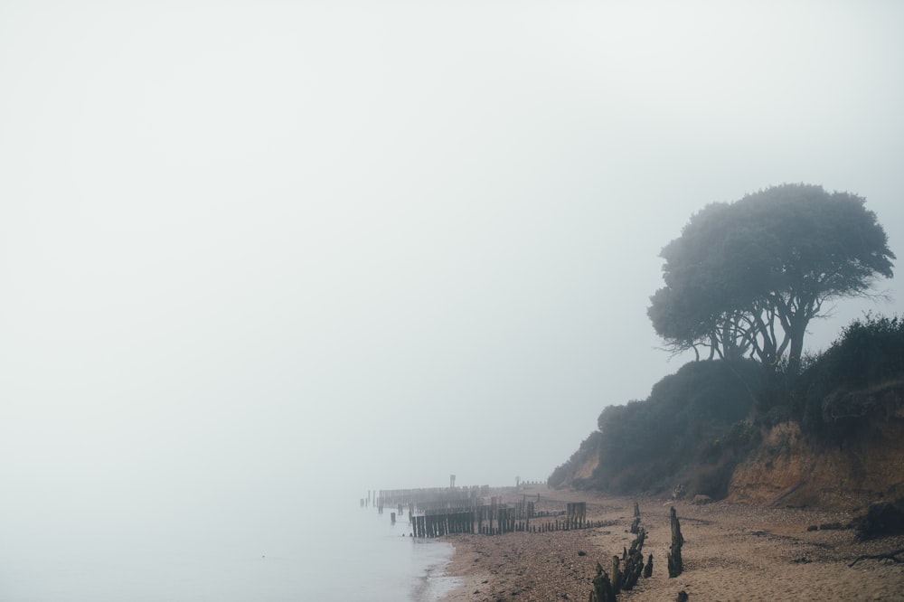sea during foggy day