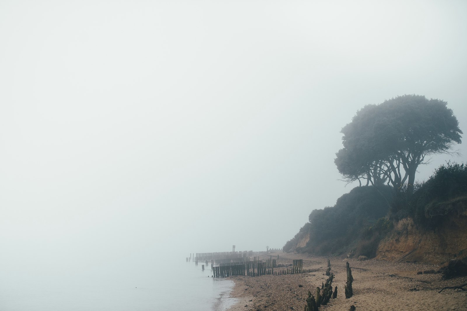 Nikon D4S + Nikon AF-S Nikkor 70-200mm F2.8G ED VR II sample photo. Sea during foggy day photography