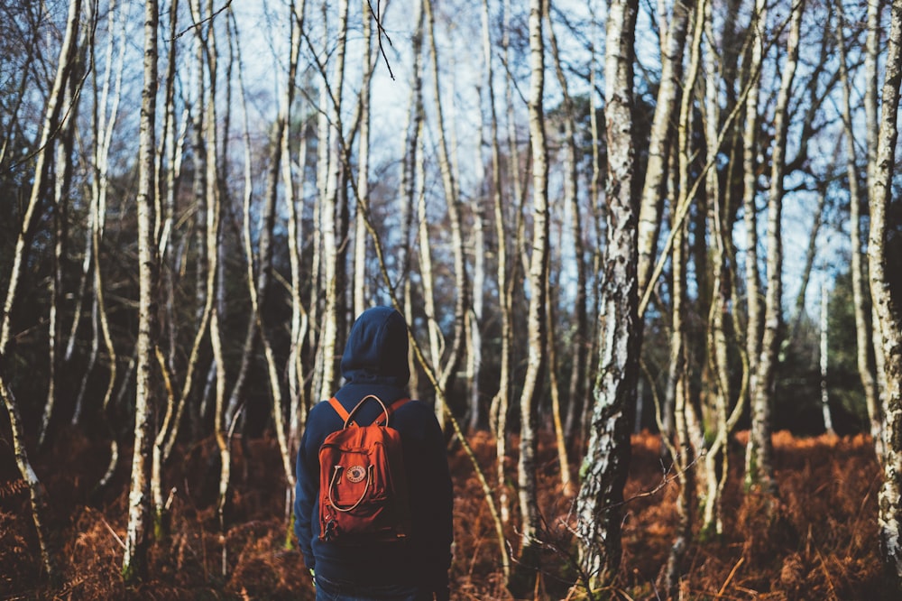 person standing in front of forest