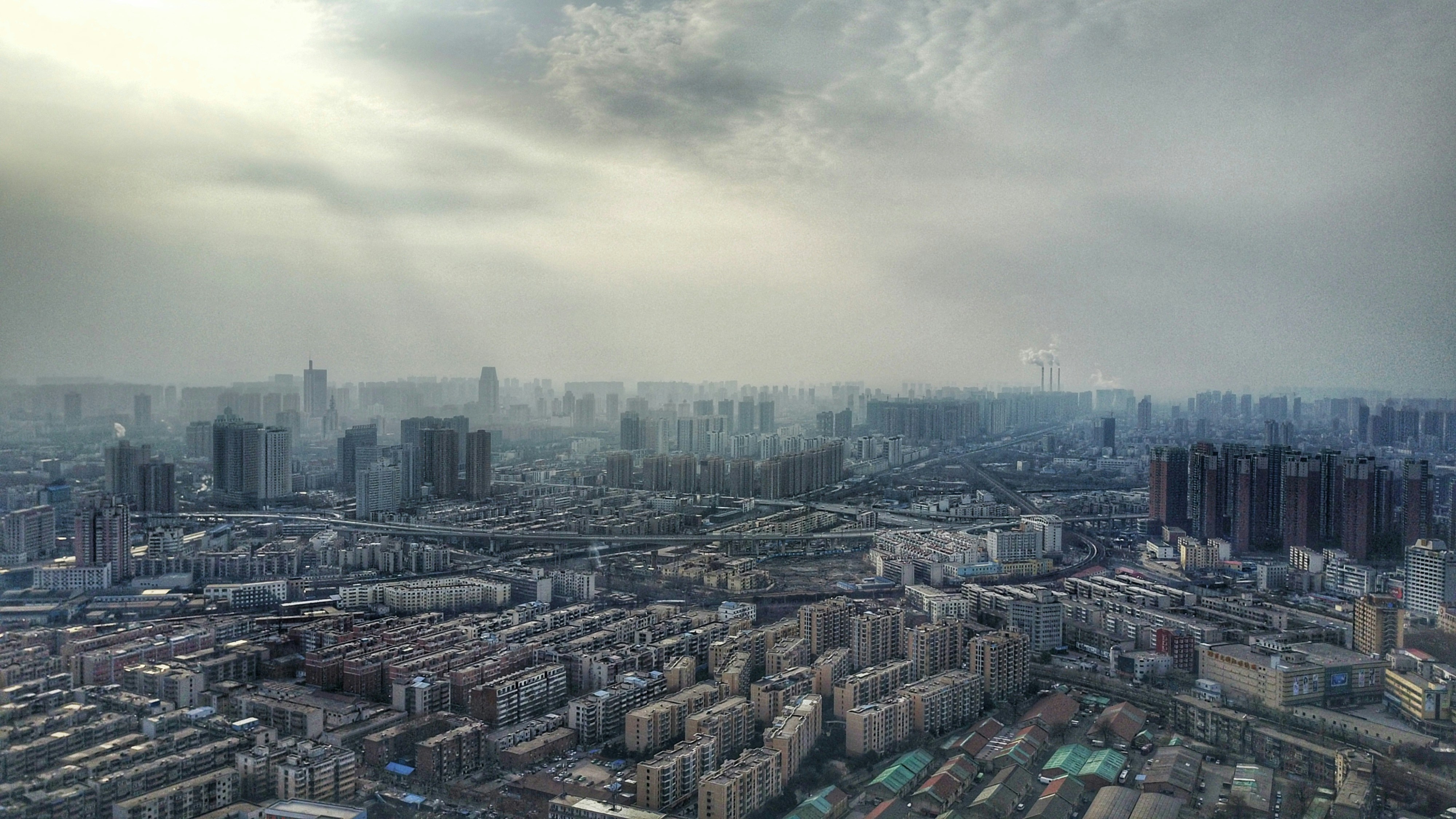 Free Unsplash photo from li li