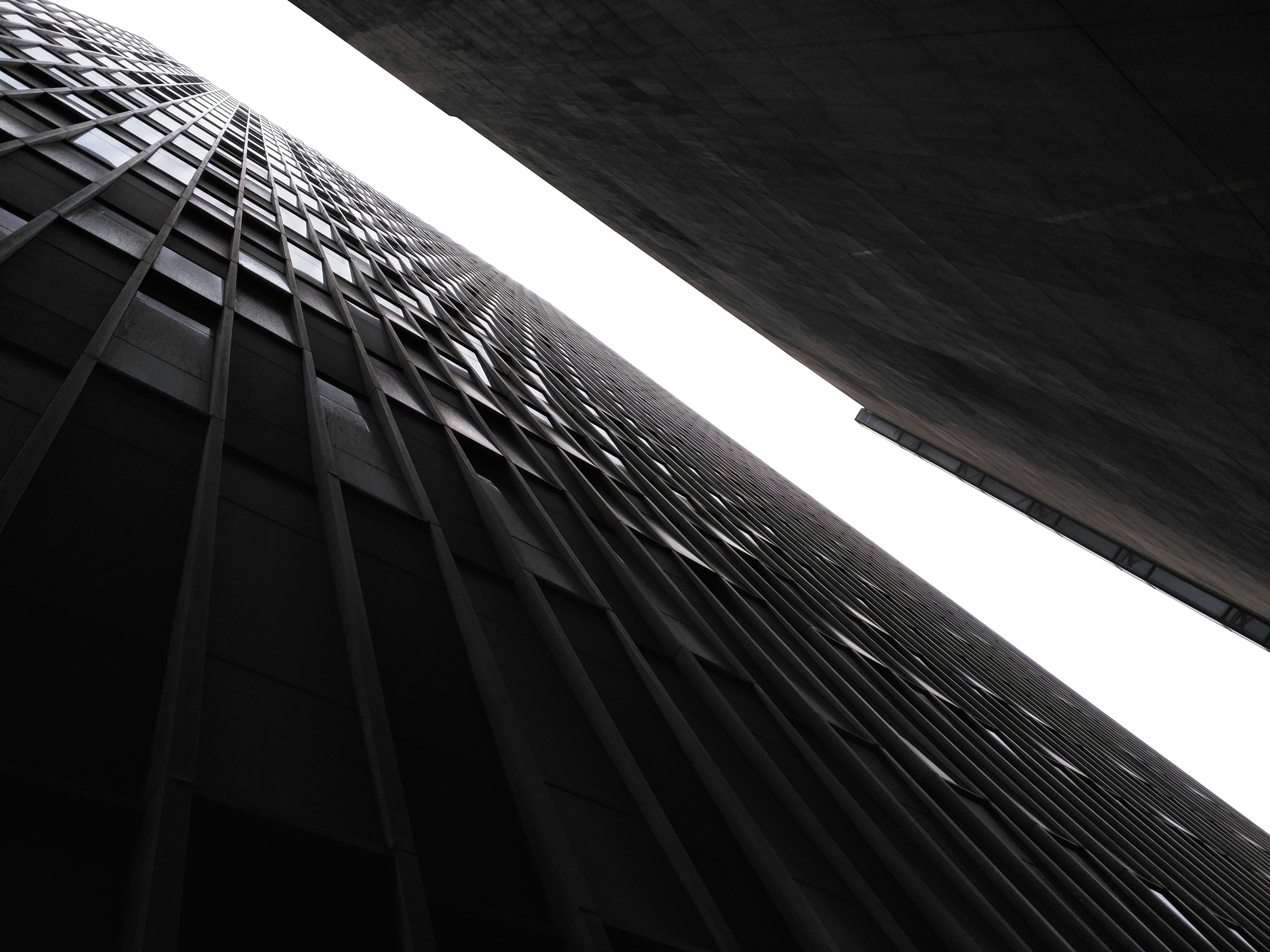 Free Unsplash photo from li li