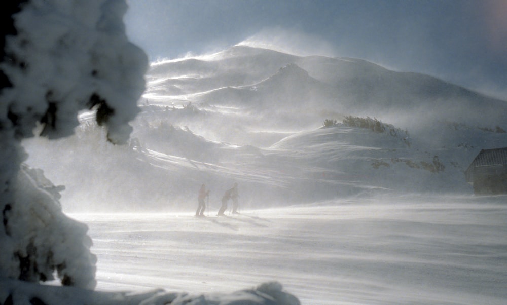 three man walking in snow covered mountain