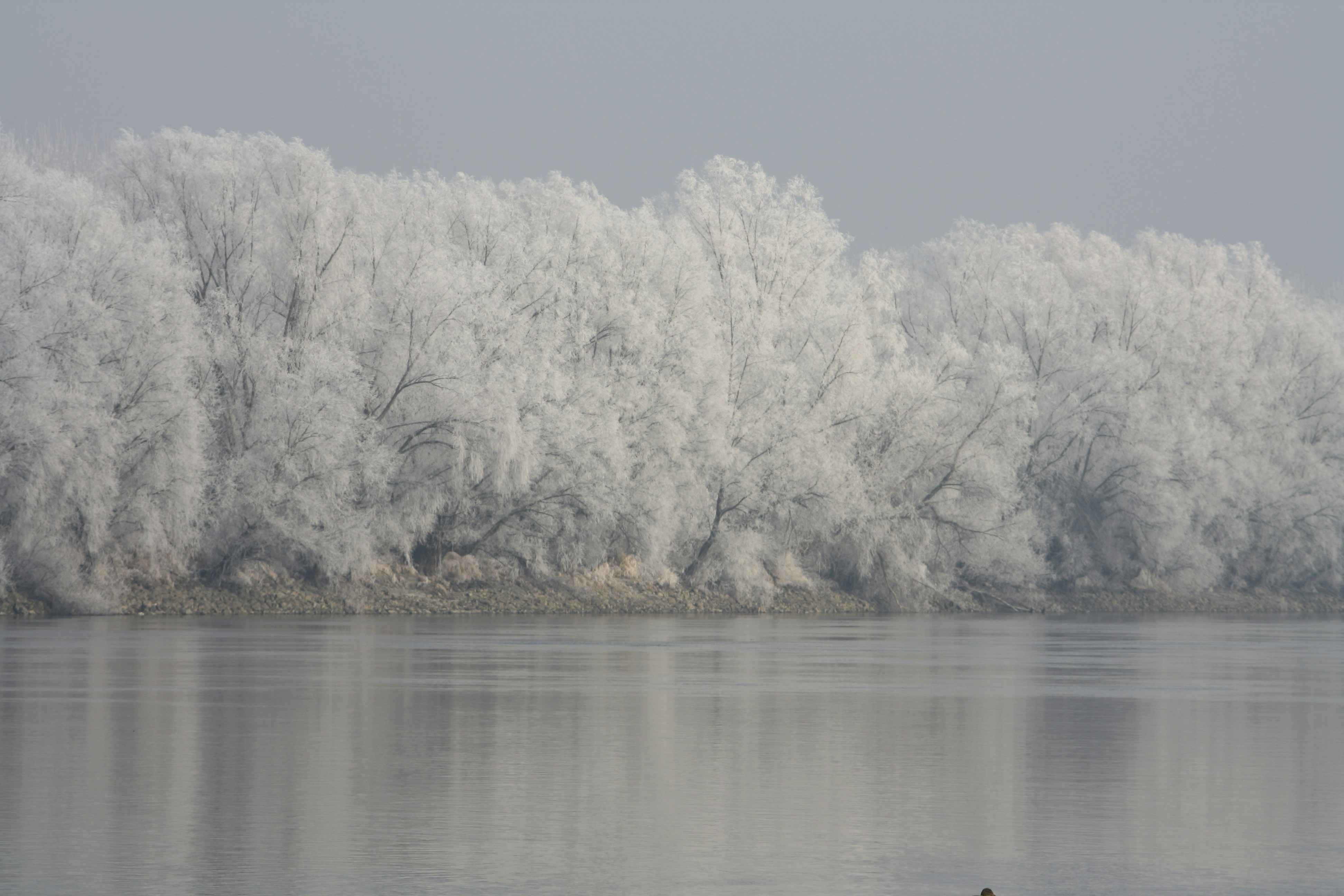 Free Unsplash photo from Davor Vrandecic