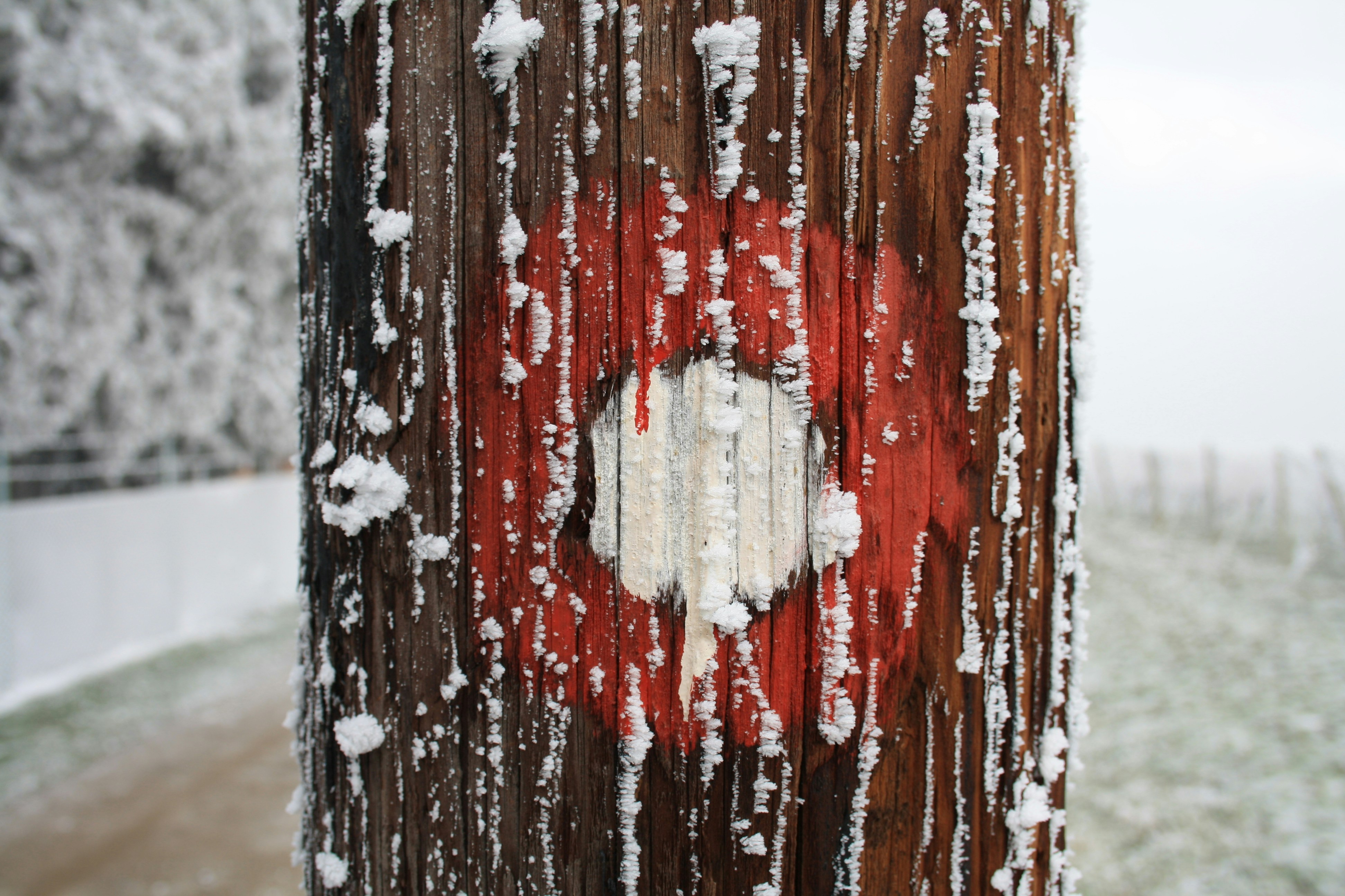 Free Unsplash photo from Davor Vrandecic