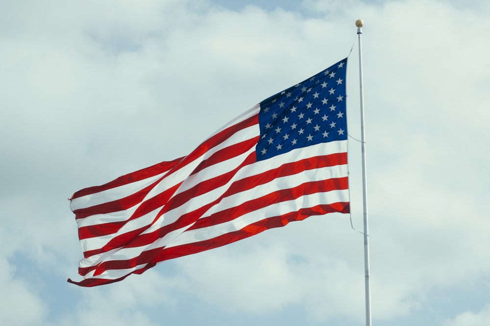 장대가 있는 미국 국기