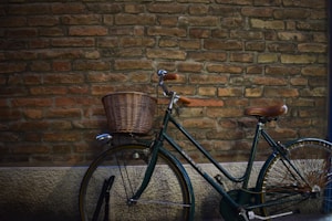 Urban Cruiser 2024