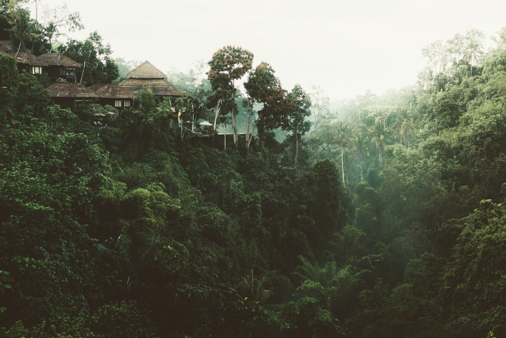 Fotografía de paisaje de una casa marrón rodeada de árboles de hojas verdes durante el día