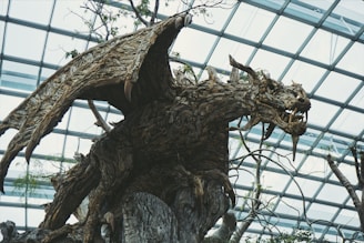 A large, intricately carved dragon sculpture, made from wood, with detailed textures and features, is situated indoors under a glass ceiling. The dragon's wings are spread wide, and it has a fierce expression with sharp teeth. Sparse twigs and leaves are integrated into the design, giving it a naturalistic appearance.