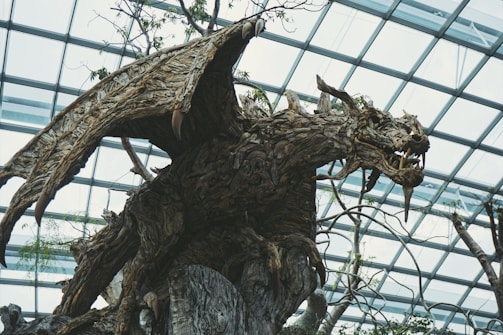 A large, intricately carved dragon sculpture, made from wood, with detailed textures and features, is situated indoors under a glass ceiling. The dragon's wings are spread wide, and it has a fierce expression with sharp teeth. Sparse twigs and leaves are integrated into the design, giving it a naturalistic appearance.
