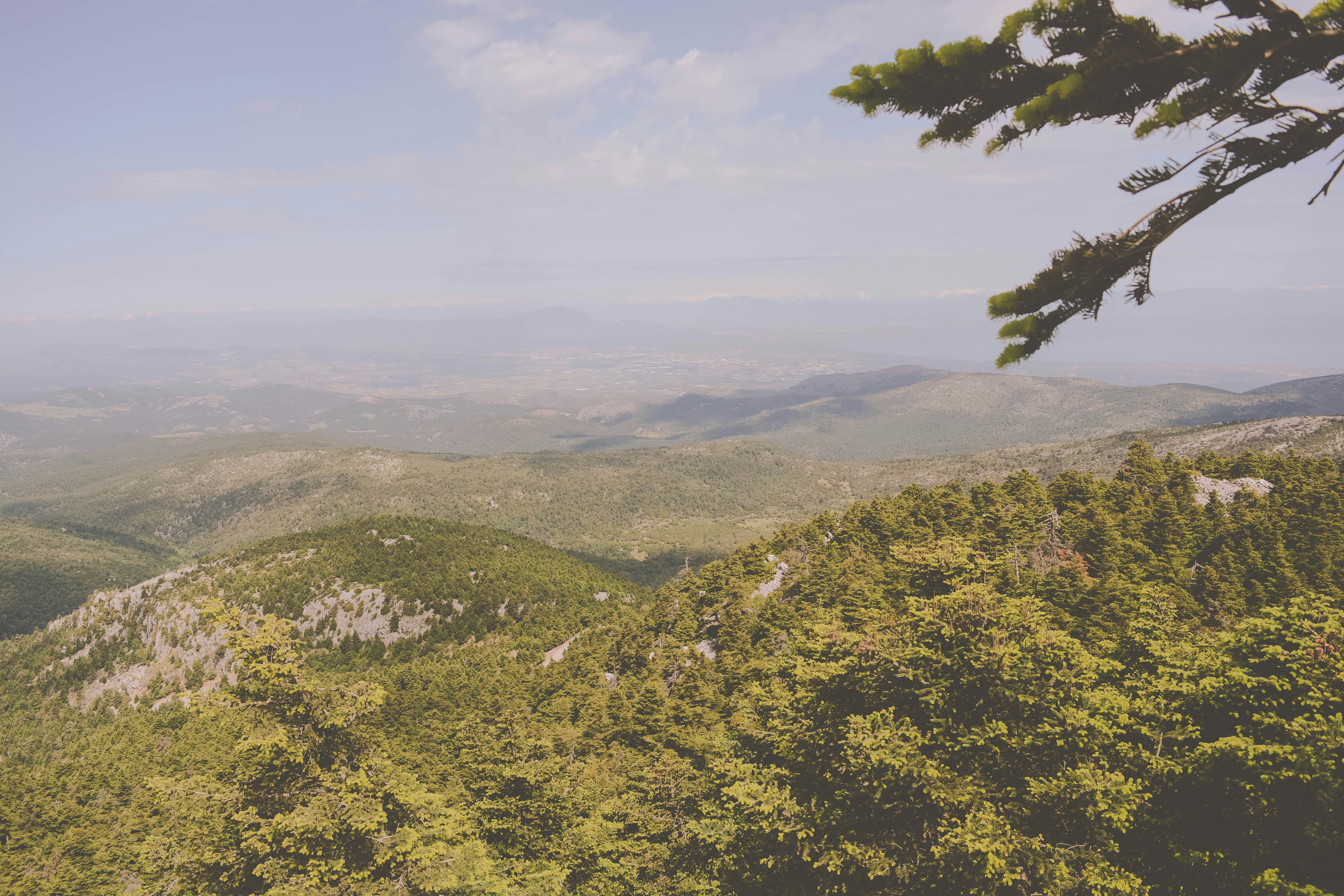 Free Unsplash photo from Panagiotis Grigoropoulos