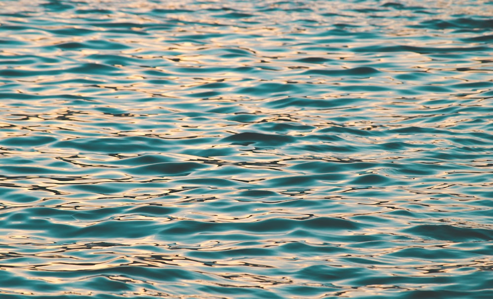 a large body of water with ripples on it