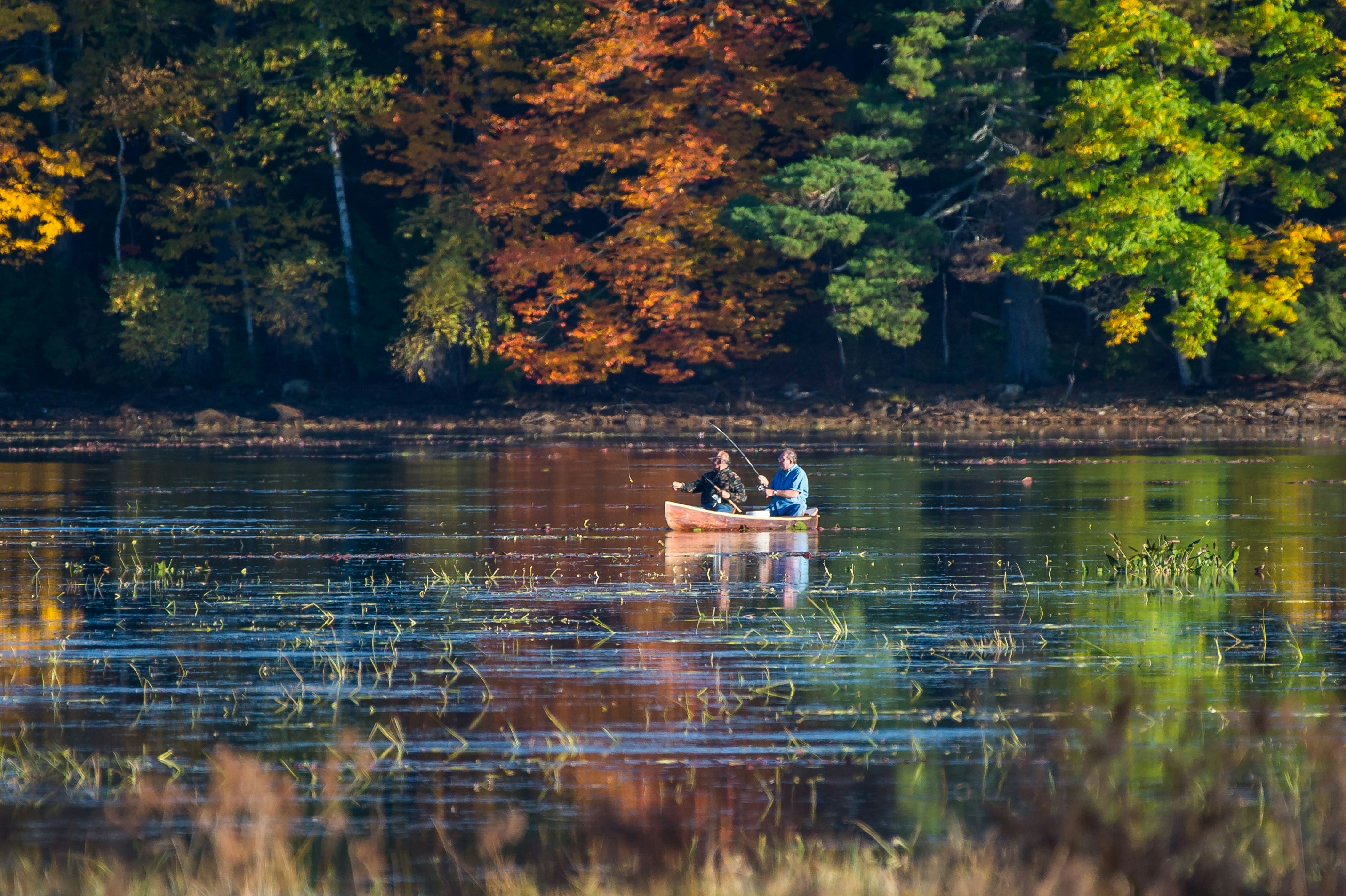 Free Unsplash photo from John McLaughlin