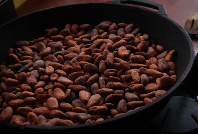 Close-up of artisan preparing traditional Mexican cacao beans in a rustic kitchen.