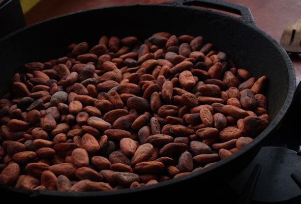 A large cast iron pan filled with brown cacao beans, showcasing a variety of textures and sizes. The pan is partially visible, set against a blurred background.