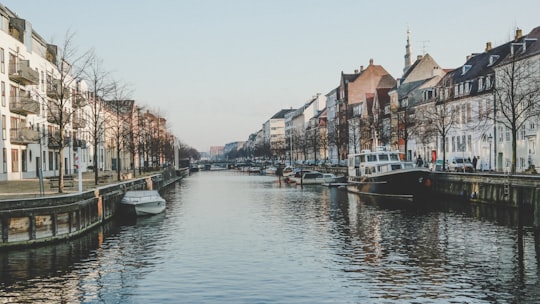 river in the middle of buildings during daytime in Christianshavns Kanal Denmark